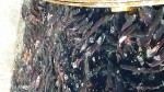 Roaring Judy Kokanee Fish Hatchery