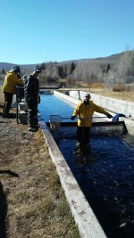 Roaring Judy Kokanee Fish Hatchery