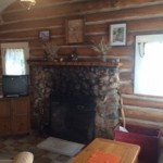 Cabin 3 fireplace