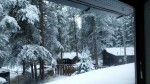 Winter at Spring Creek