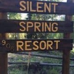 Silent Spring Resort
