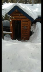small cabins, big snow