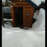 Cabin 3 in winter