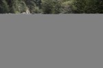Rafting the Taylor River
